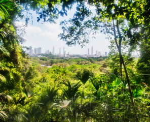 View of Panama City from Metropolitan Natural Park, Panama City, Panama, Central America 