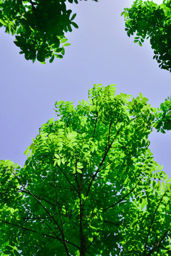 Beautiful Blue Sky
