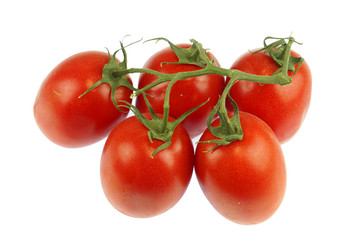 tomato isolated on white background