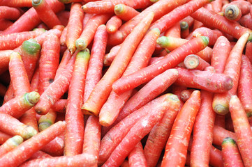 fresh carrot as food background