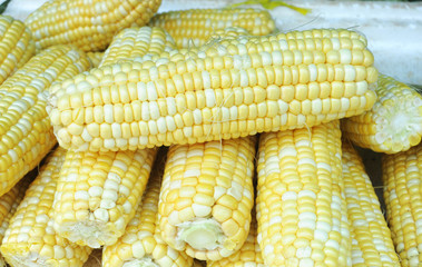 close up on fresh raw corn cob