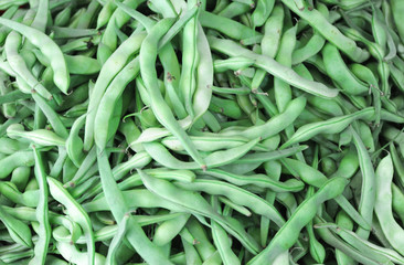fresh green flat bean as food background