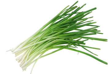 a bunch of green onion isolated on the white background