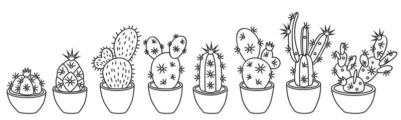 Vector illustration of a set of different succulents and cacti. Big set for background, packaging paper, stickers for children