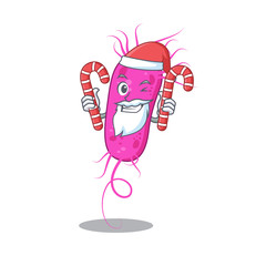 Friendly pseudomoa bacteria in Santa Cartoon character holds Christmas candies