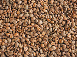Robusta coffee beans on the background