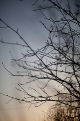 sky