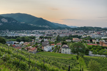 Swiss city at sunrise. Mendrisio, with slopes cultivated with vineyards, in the foreground. City in the Canton of Ticino in southern Switzerland
