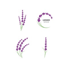Lavender logo © AWK studio
