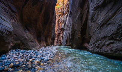 beautiful of narrow in the afternoon  in Zion National park,Utah,usa.