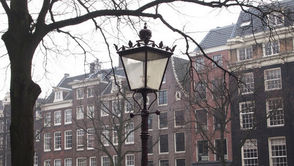 Amsterdam Street Lamp
