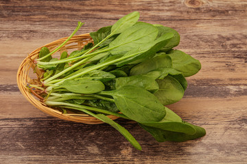 Fresh green Spinach leaves heap