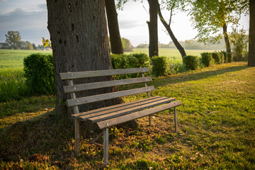 bench in the park