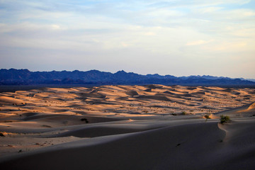Obraz na płótnie Canvas Desert Landscapes 