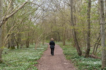 Woman walking in a fotrest by leafing season