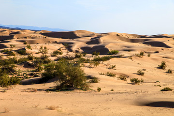 Fototapeta na wymiar Desert Landscapes 
