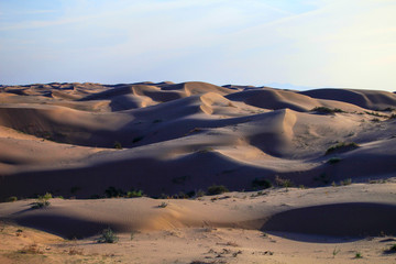Desert Landscapes 