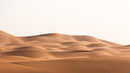 adventure, africa, background, beautiful, blue, chebbi, clear, color, day, desert, dry, dune,...