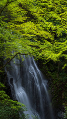 茨城　玉簾の滝