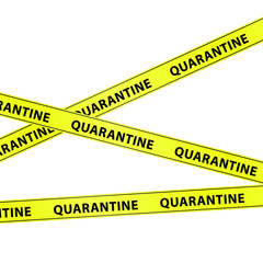 Yellow warning tape strips with the text "QUARANTINE", caution concept, isolated on white background, transparent vector 