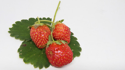 Fresh strawberries on a wooden table and white background