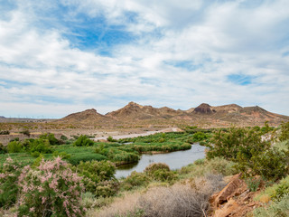 Beautiful river landscape of the Las Vegas Wash trail