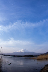 Fototapeta premium Mt.Fuji