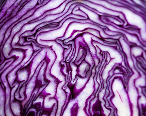 Obraz premium Cut red cabbage head.