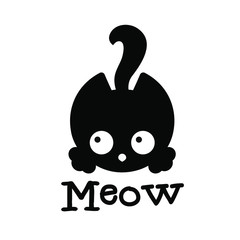 Cute black kitten with 