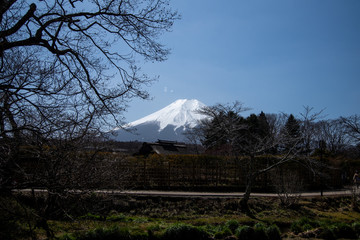 Mt.Fuji