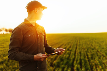 Young man farmer stands in a green wheat field with a tablet in his hands checking the progress of...