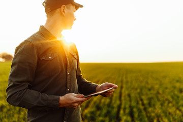 Young man farmer stands in a green wheat field with a tablet in his hands checking the progress of...