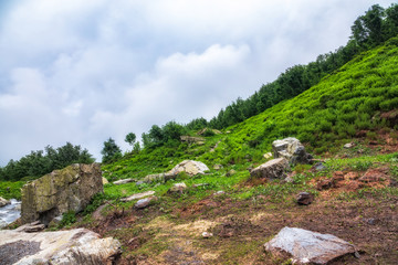 Fototapeta na wymiar Large stones and boulders among lush greenery on a foggy hillside.