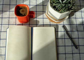 Work place.  Notebook, mug with coffee, plants and pen in the morning sun.