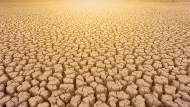 The land is arid and parched with golden light. The concept of ecological disaster in nature.