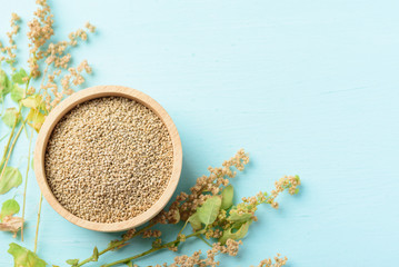 Organic brown quinoa seed in a wooden bowl and quinoa plant on pastel color background, healthy...