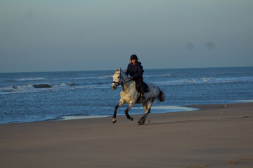 horse riding on the beach with a sunset, water, sand. Girls having fun