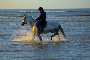 Fototapeta na wymiar horse riding on the beach with a sunset, water, sand. Girls having fun