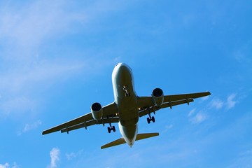 lugzeug, avion, flieger, düsenflieger, himmel, anreisen, fliegen, linienflugzeug, landung, aviation, transport, fliege, flugzeug, beförderung, luft, blau, flughafen, fliegender, airline, fahrerin, boe
