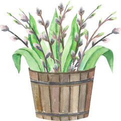 Watercolor leaves composition. Bouquets of flowers, leaves, willow and branch in pots. Spring compositions of tulips.