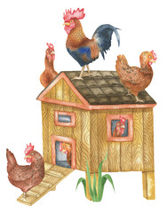 Illustration of hens and chicken coop © Olena