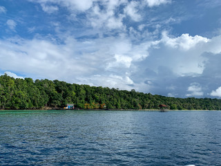 Fototapeta na wymiar Kakaban Island, North Kalimantan, Indonesia shoreline over beautiful turquoise water. Leisure and Travel.