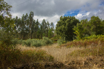 Obraz premium Portugal