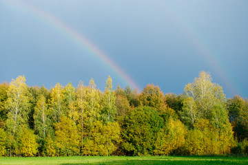 rainbow over the field