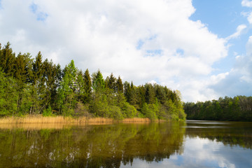 a wonderful shot of a pond in which many trees are  reflected with a cloudy background
