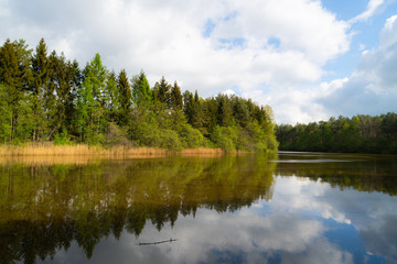 a wonderful shot of a pond in which many trees are  reflected with a cloudy background