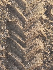 Textura de tierra y huellas