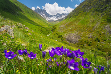 Summer season in Juta valley, small village in Caucasus mountain range in Georgia