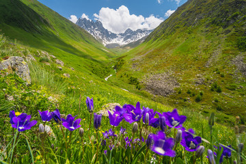 Fototapeta premium Summer season in Juta valley, small village in Caucasus mountain range in Georgia