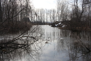a river in a dark forest a reservoir overgrown with trees in autumn